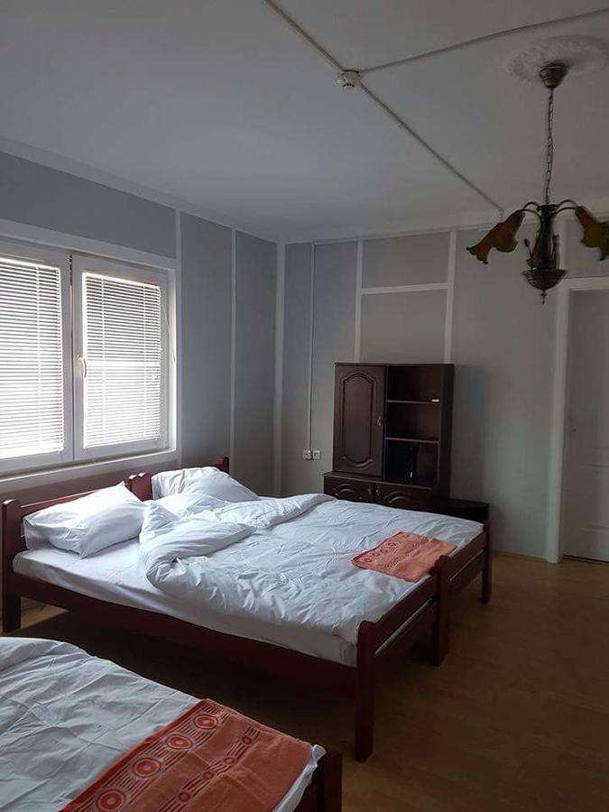Golden Danube Bed & Breakfast Veliko Gradiste Luaran gambar