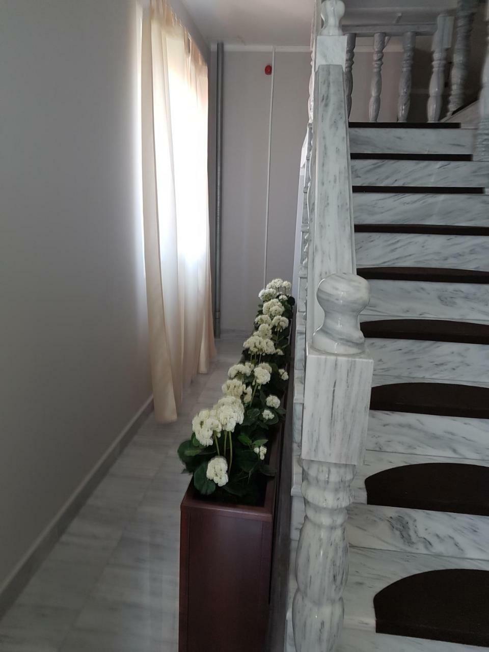 Golden Danube Bed & Breakfast Veliko Gradiste Luaran gambar